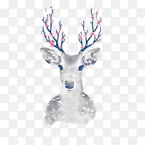 水彩鹿头-空若网 水彩鹿头-空若网