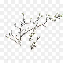 高清春日树枝生机-空若网 高清春日树枝生机-空若网