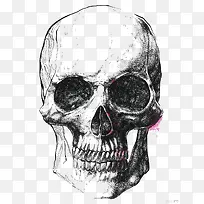 ��Լ�ڰ�����ͷ�廭-������