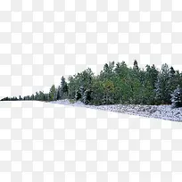 高清摄影创意合成森林效果-空若网 高清摄影创意合成森林效果-空若网