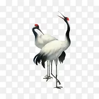 ������Ӱ�����ɫ�İ��غϳ�-������