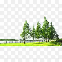 ���崴��������Ӱ�ϳ�Ч��-������