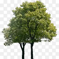 高清创意摄影绿化设计合成-空若网 高清创意摄影绿化设计合成-空若网