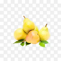 水果-空若网 水果-空若网