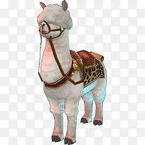 创意高清摄影手绘羊驼-空若网 创意高清摄影手绘羊驼-空若网