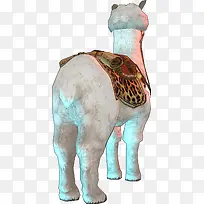 高清摄影创意白色的羊驼-空若网 高清摄影创意白色的羊驼-空若网