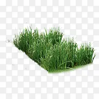 ���������Ӱ����-������