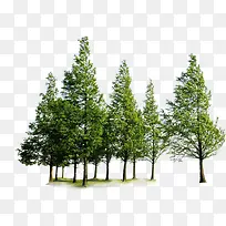 ���崴��������ӰЧ��-������