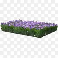 ��ɫ޹�²ݴ��������Ӱ-������