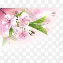 高清摄影立体红色花朵-空若网 高清摄影立体红色花朵-空若网