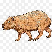 ʸ��ˮ��-������