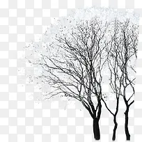 ��֦����ͥԺѩ��-������