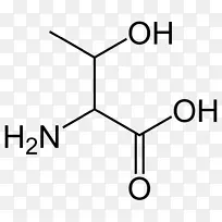 丙戊酸支链氨基酸亮氨酸丙氨酸-空若网 丙戊酸支链氨基酸亮氨酸丙氨酸-空若网