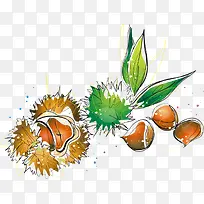 卡通手绘清新板栗-空若网 卡通手绘清新板栗-空若网