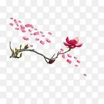 ��֦-������