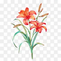 水仙花水墨画设计-空若网 水仙花水墨画设计-空若网