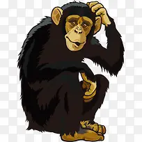 矢量猩猩-空若网 矢量猩猩-空若网