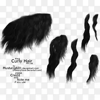 动物尾部黑色-空若网 动物尾部黑色-空若网