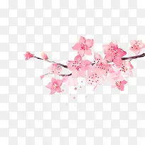 粉色花朵样式促销-空若网 粉色花朵样式促销-空若网