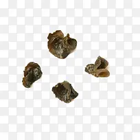 ľ��-������