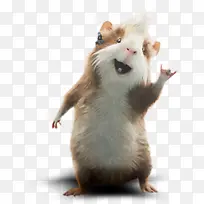 ������Ӱ���к���С����-������