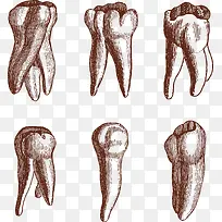 手绘牙齿-空若网 手绘牙齿-空若网
