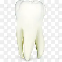 手绘白色牙齿插图-空若网 手绘白色牙齿插图-空若网