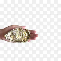 手掌中的生蚝-空若网 手掌中的生蚝-空若网