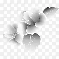 水墨花 水彩画-空若网 水墨花 水彩画-空若网