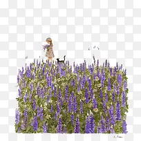 ×Ïɫ޹Ò²Ý-¿ÕÈôÍø ×Ïɫ޹Ò²Ý-¿ÕÈôÍø