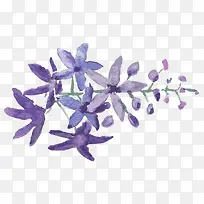 ޹�²�-������