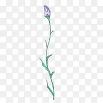 薰衣草-空若网 薰衣草-空若网