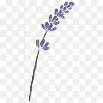 ޹�²�-������