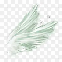 ��ɫ��ʹ����-������