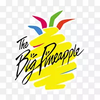 大菠萝阳光海岸,昆士兰州野生动物总部-菠萝-空若网 大菠萝阳光海岸,昆士兰州野生动物总部-菠萝-空若网