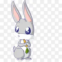 可爱灰兔-空若网 可爱灰兔-空若网