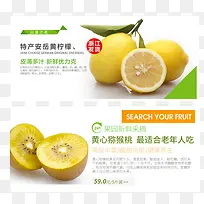 猕猴桃-空若网 猕猴桃-空若网