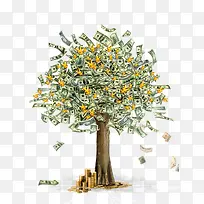 摇钱树 树-空若网 摇钱树 树-空若网