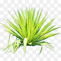 ��ɫҶ�Ӹ��崴��-������