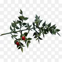 ɽ���ֲ��ͼƬ-������