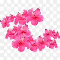 设计海报花朵设计效果-空若网 设计海报花朵设计效果-空若网