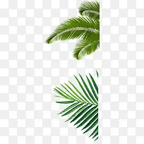 高清摄影粽叶效果设计-空若网 高清摄影粽叶效果设计-空若网