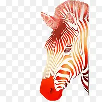 插画-空若网 插画-空若网