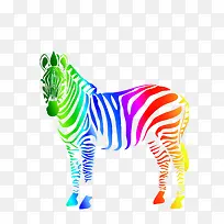 彩色斑马-空若网 彩色斑马-空若网