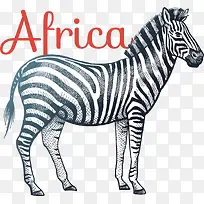 矢量卡通斑马插画-空若网 矢量卡通斑马插画-空若网