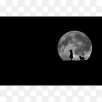 ����ʻ���������������-������