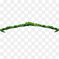 树丛林-空若网 树丛林-空若网