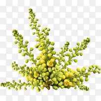 �ֻ��ʸг����������-������