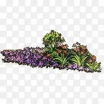 手绘彩色花朵植物-空若网 手绘彩色花朵植物-空若网