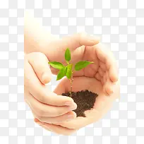 �ֲ�����-������